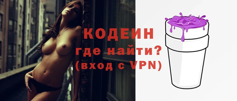 ссылка на мегу ссылки  продажа наркотиков  Камышин  Кодеиновый сироп Lean Purple Drank 