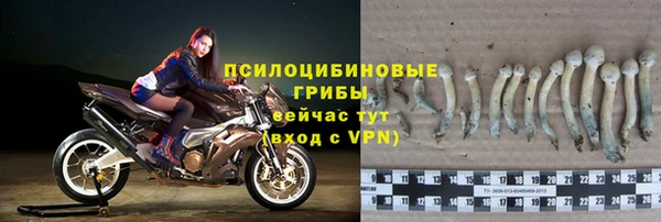 индика Янаул