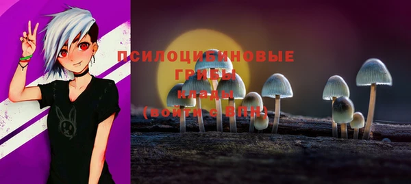 индика Янаул
