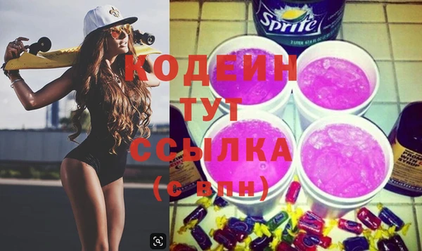 индика Янаул