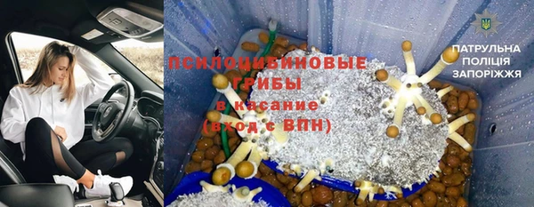 индика Янаул