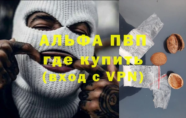 индика Янаул