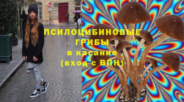 индика Янаул