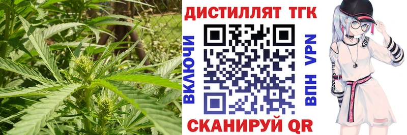 blacksprut ССЫЛКА  Камышин  ТГК Wax 
