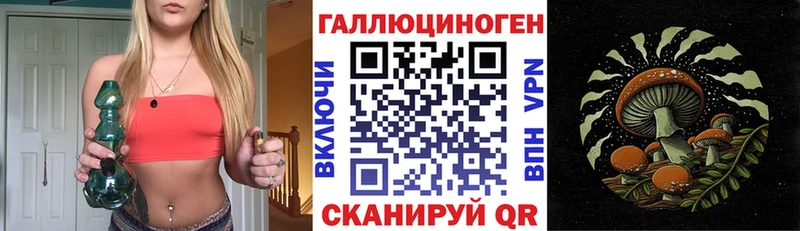 Псилоцибиновые грибы GOLDEN TEACHER  mega онион  Камышин 