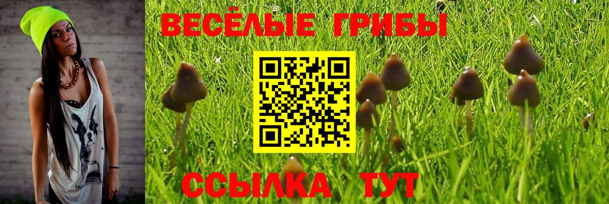 Псилоцибиновые грибы Psilocybine cubensis  Вход с VPN  даркнет сайт  Камышин  Псилоцибиновые грибы GOLDEN TEACHER 