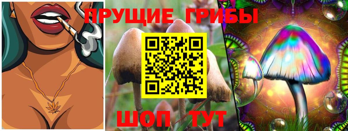 Псилоцибиновые грибы Magic Shrooms Камышин