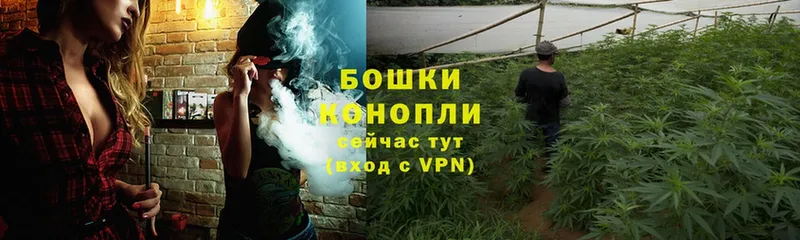 Конопля White Widow  купить наркоту  Камышин 