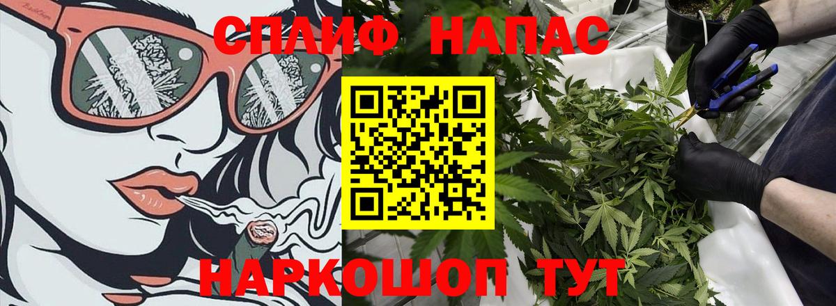 Канабис THC 21%  Камышин  Канабис SATIVA & INDICA  Бошки Шишки VHQ 